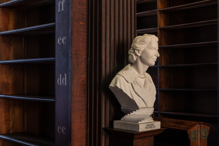 A statue of a woman alongside empty shelves in the Long Room