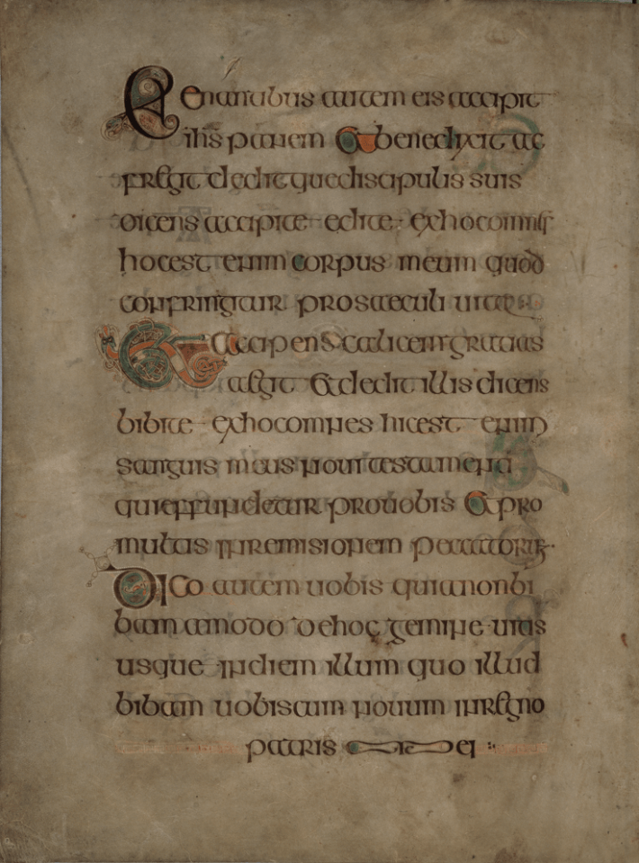 book of kells folio 113v
